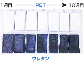 パンダグラフ構造（電子顕微鏡写真）